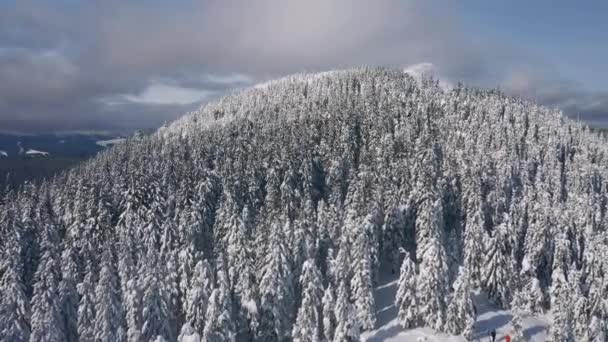 Increíble Paisaje Invernal Pico Nevado Desde Vista Pájaro Filmado Vídeo — Vídeo de stock