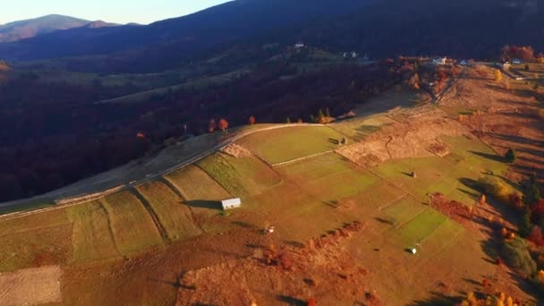 Splendid Autumn Scene Rolling Hills Morning Light Filmed Drone Video — Stock Video
