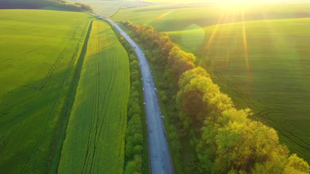 Drone Voa Sobre Uma Estrada Rural Campos Verdes Dia Ensolarado — Vídeo de Stock