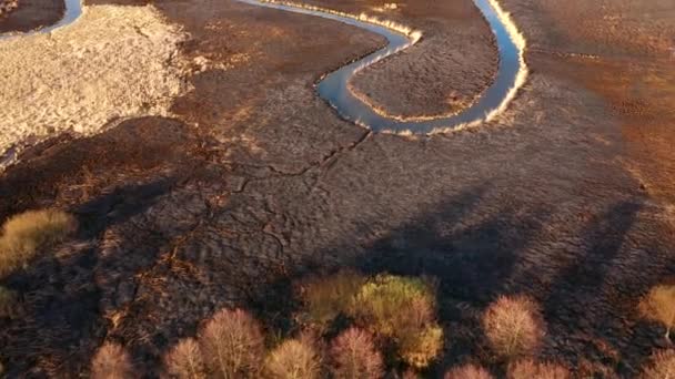 Сгоревшая Сухая Трава Природном Заповеднике Реки Серет Высоты Птичьего Полета — стоковое видео