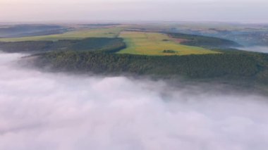 Sabahları sisli bir vadinin muhteşem yaz manzarası. UHD 4k video ile çekildi.