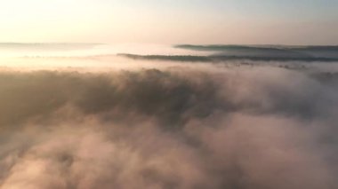 Dinyester Nehri 'nin sisli kanyonunun kuşbakışı büyüleyici panoramik manzarası. UHD 4k video ile çekildi.