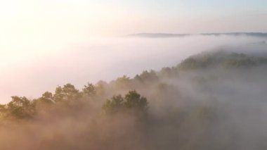 Sabahları sisli bir vadinin muhteşem yaz manzarası. UHD 4k video ile çekildi.
