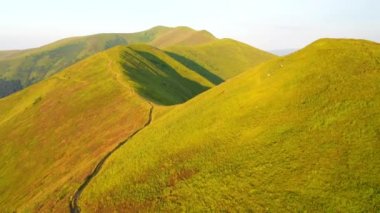 Güneşin aydınlattığı yeşil tepelerle donanımlı bir yaz günü. 4k, İHA videosu ile çekilmiştir..