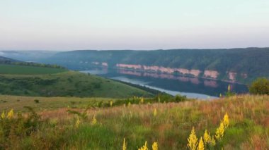 Büyük nehrin manzarası ve kuşbakışı yeşil vadi. UHD 4k video ile çekildi.
