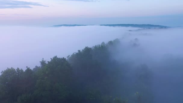 Strzał Drona Nad Gęstą Mgłą Która Pokryła Równinę Przed Świtem — Wideo stockowe