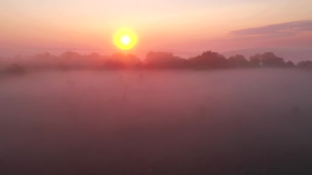 Vue Panoramique Couper Souffle Sur Terrain Brumeux Matin Filmé Vidéo — Video