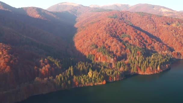 Nádherně Čisté Jezero Ptačí Perspektivy Natočeno Drone Video — Stock video