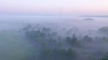 Şafaktan önce ovayı kaplayan kalın bir sis üzerine bir dron atışı. UHD 4k video ile çekildi.