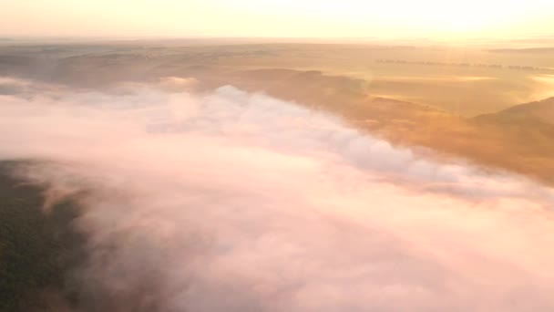 Lenyűgöző Panoráma Nyílik Dnyeszter Folyó Ködös Kanyonjára Madártávlatból Uhd Videóban — Stock videók