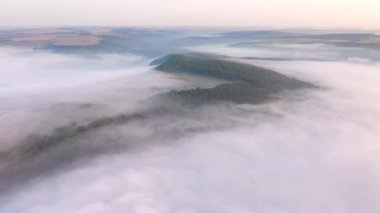 Sabahları sisli bir vadinin muhteşem yaz manzarası. UHD 4k video ile çekildi.
