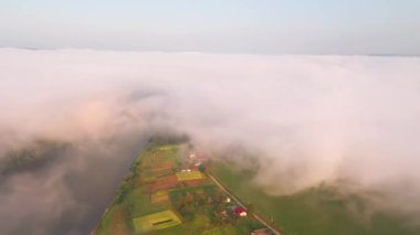 Sabahleyin Dinyester nehir vadisini yoğun bir sis kapladı. Kuş bakışı. Yeri Ukrayna, Avrupa. Sinematik drone çekimi. UHD 4k video 'da çekildi. Toprağın güzelliğini keşfedin.
