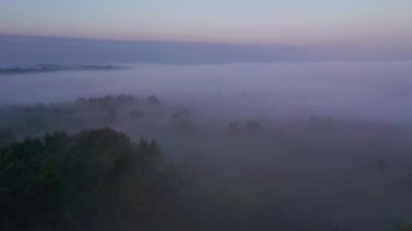 Şafaktan önce ovayı kaplayan kalın bir sis üzerine bir dron atışı. UHD 4k video ile çekildi.