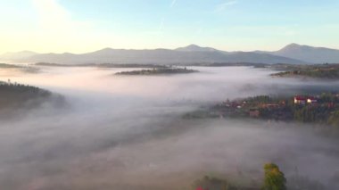 Fantastik kırsal alan yoğun sabah sisi ile kaplıdır. UHD 4k video ile çekildi.