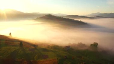 Kuş bakışı güneş ışığıyla muhteşem bir kırsal alan. UHD 4k video ile çekildi.