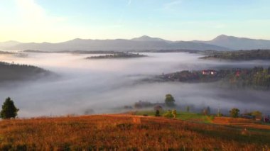 Muhteşem kırsal alan yoğun bir sabahla kaplıdır. UHD 4k video ile çekildi.