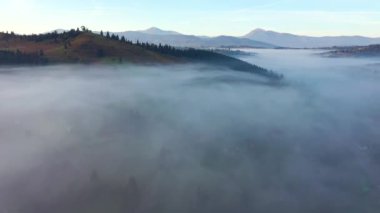 Muhteşem kırsal alan yoğun sabah sisi ile kaplıdır. UHD 4k video ile çekildi.