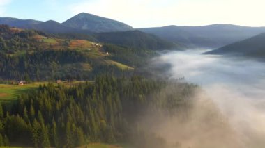 Huzurlu kırsal alan kuş bakışı görüş açısından kalın bir sis ile kaplıdır. UHD 4k video ile çekildi.