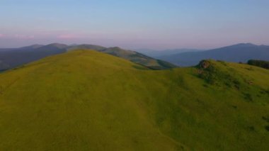 Dağlık dağlardaki dört ayaklı yeşil çayırlardan ateş ediyorlar. UHD 4k video ile çekildi.