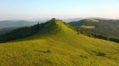 Dağlık dağlardaki dört ayaklı yeşil çayırlardan ateş ediyorlar. UHD 4k video ile çekildi.