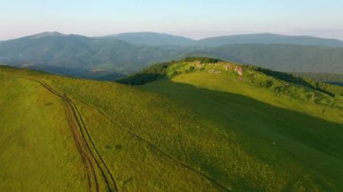 Dağlık dağlardaki dört ayaklı yeşil çayırlardan ateş ediyorlar. UHD 4k video ile çekildi.