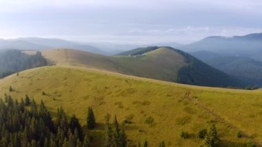 Güneşli bir günde Alp otlağındaki bir dronun nefes kesici görüntüleri. UHD 4k video ile çekildi.