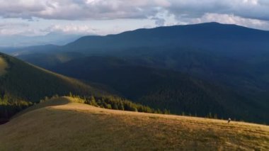 Güneşli bir günde Alp otlağındaki bir dronun nefes kesici görüntüleri. UHD 4k video ile çekildi.