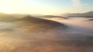 Kuş bakışı güneş ışığıyla muhteşem bir kırsal alan. UHD 4k video ile çekildi.