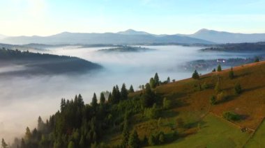 Huzurlu kırsal alan kuş bakışı görüş açısından kalın bir sis ile kaplıdır. UHD 4k video ile çekildi.