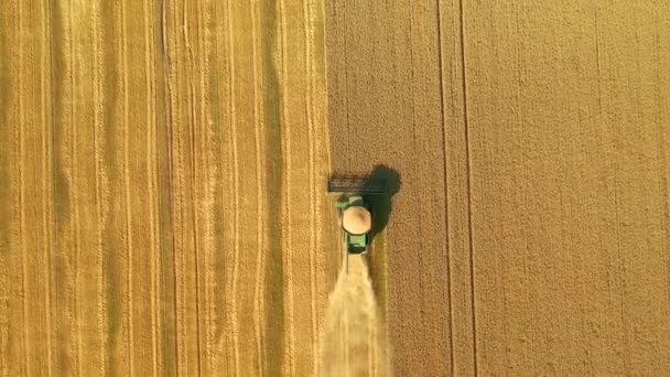 Drohnenschüsse Fliegen Über Mähdrescher Die Bei Der Ernte Auf Ackerland — Stockvideo