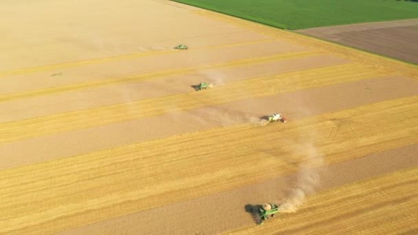 无人机在收割期间飞过在农田里干活的联合收割机 以Uhd 4K视频拍摄 — 图库视频影像