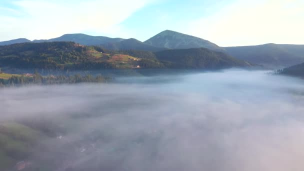 Fantastiskt Lantligt Landskap Täckt Tjock Morgondimma Inspelning Från Uhd Video — Stockvideo