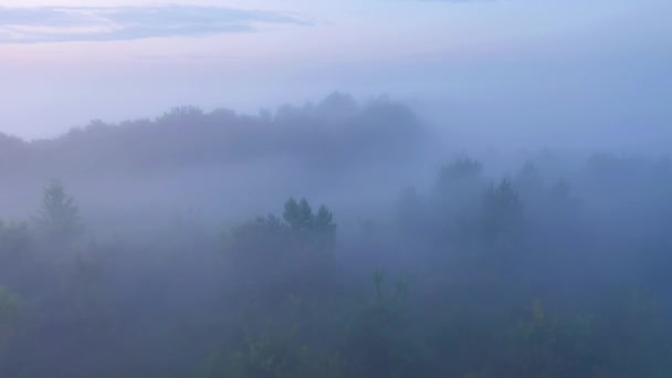 夜明け前に平野を覆っていた濃い霧の上の無人機からのショット Uhd 4Kビデオで撮影 — ストック動画