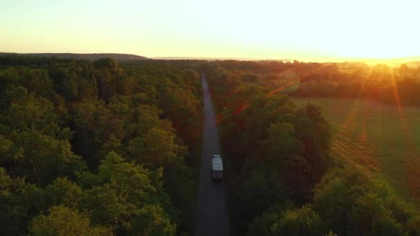 Voo Drone Sobre Estrada Asfalto Através Floresta Pinheiros Verdes Filmado — Vídeo de Stock