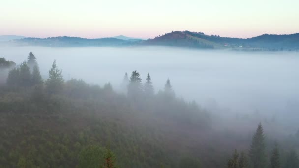 静かな田園風景は 鳥の目のビューから厚い霧で覆われています Uhd 4Kビデオで撮影 — ストック動画