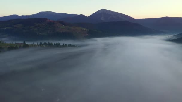 見事な田園風景は 鳥の目のビューから厚い霧で覆われています Uhd 4Kビデオで撮影 — ストック動画