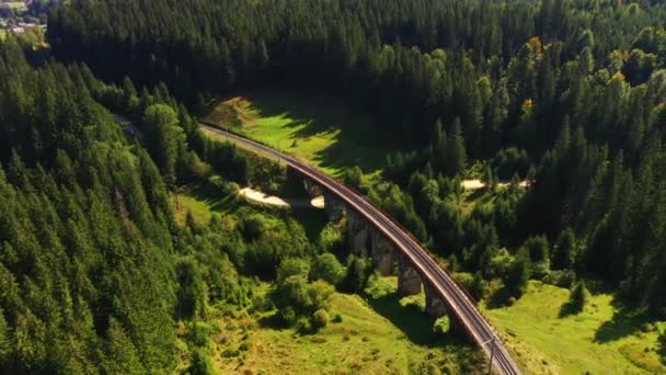 Let Dronem Nad Starobylým Rakouským Viaduktem Letního Dne Natočeno Videu — Stock video