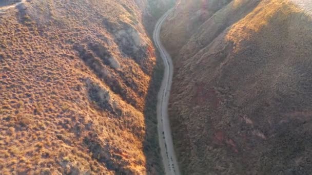 Splendides Formes Relief Des Collines Sablonneuses Partir Une Vue Oiseau — Video