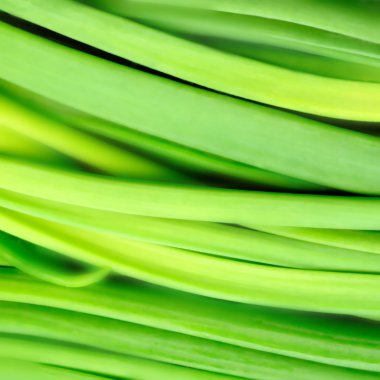 bir arka plan çimen.