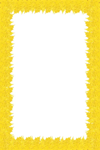 Quadro de folhas amarelas de outono em um fundo branco . — Fotografia de Stock