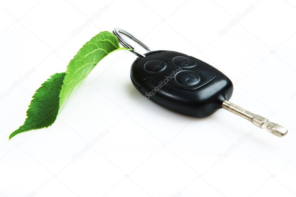 Car key with green leaf.