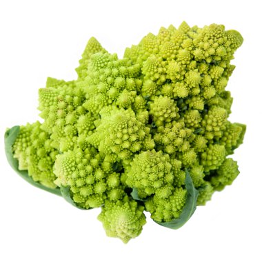 beyaz zemin üzerinde bir bütün romanesco brokoli (brassica oleracea).