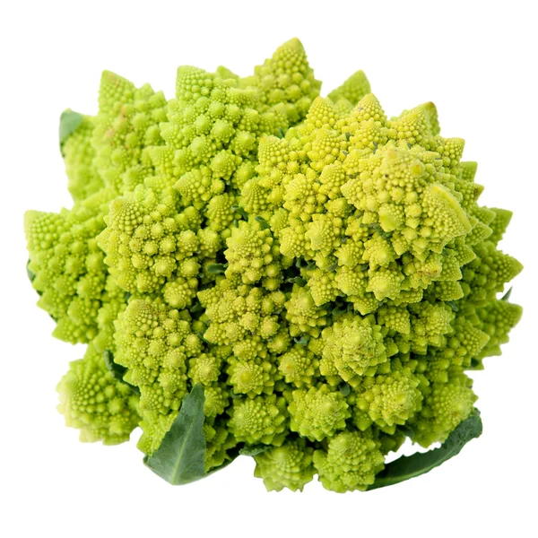 beyaz zemin üzerinde bir bütün romanesco brokoli (brassica oleracea).