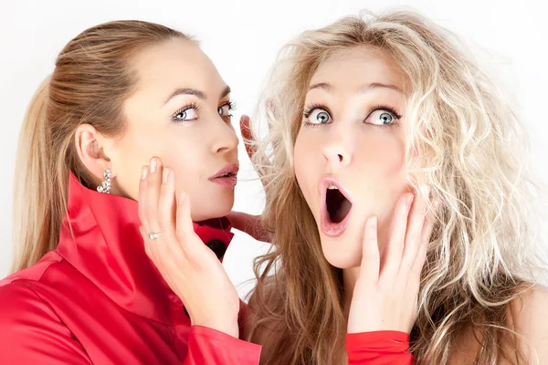 sarışın kız beyaz arka plan karşı bir arkadaşına fısıldıyor.