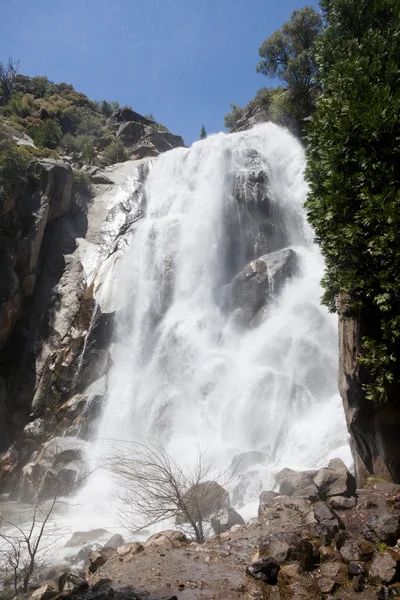 Grizzly Falls — Stock Photo, Image