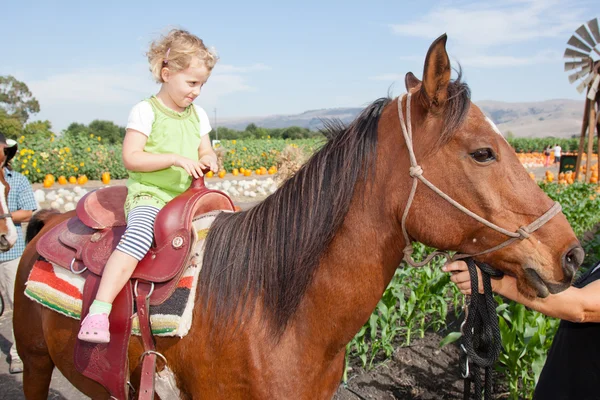 Passeio a cavalo — Fotografia de Stock