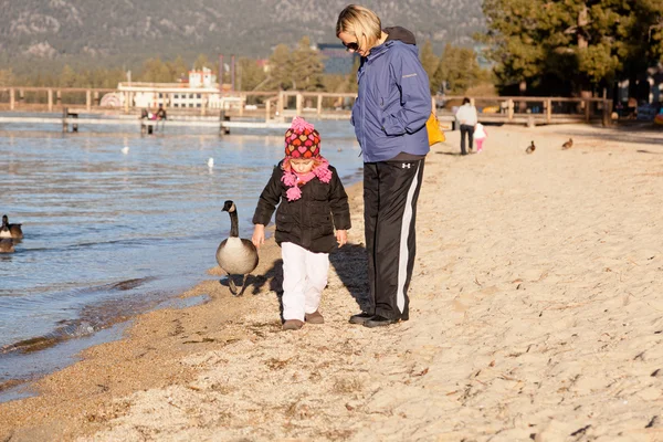 Lake Tahoe — Stock Photo, Image