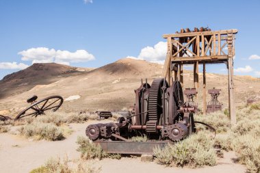 Bodie