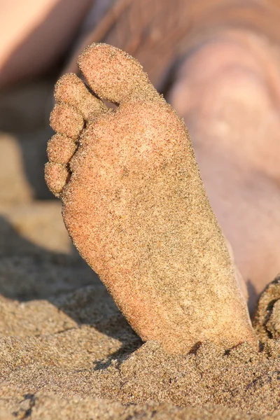 砂脚 — 图库照片