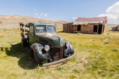 Bodie